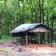 BHAWAL NATIONAL PARK 05